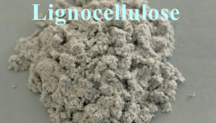 Lignocellulose