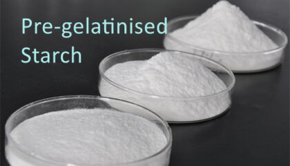 Pre-gelatinised Starch