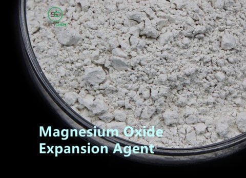 Expansion Agent1